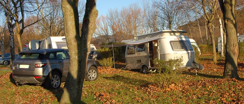 tarp ribeauvillé.jpg