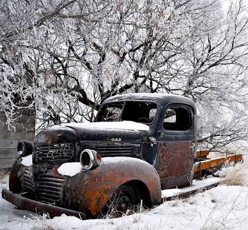 1425 dodge t110 d60 .jpg