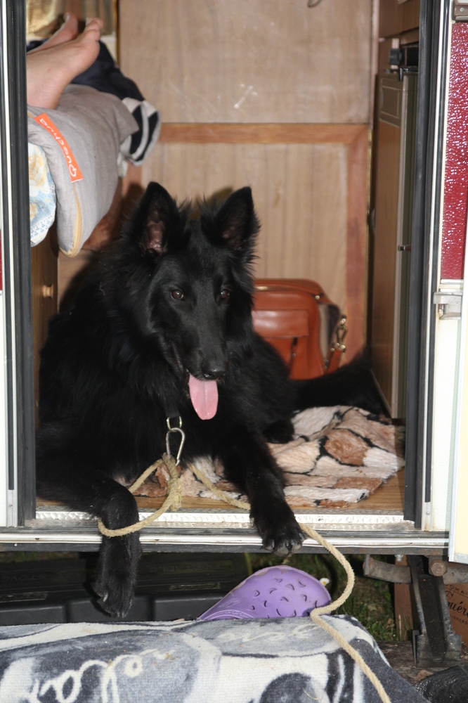 Le nouveau gardien de la Puck.