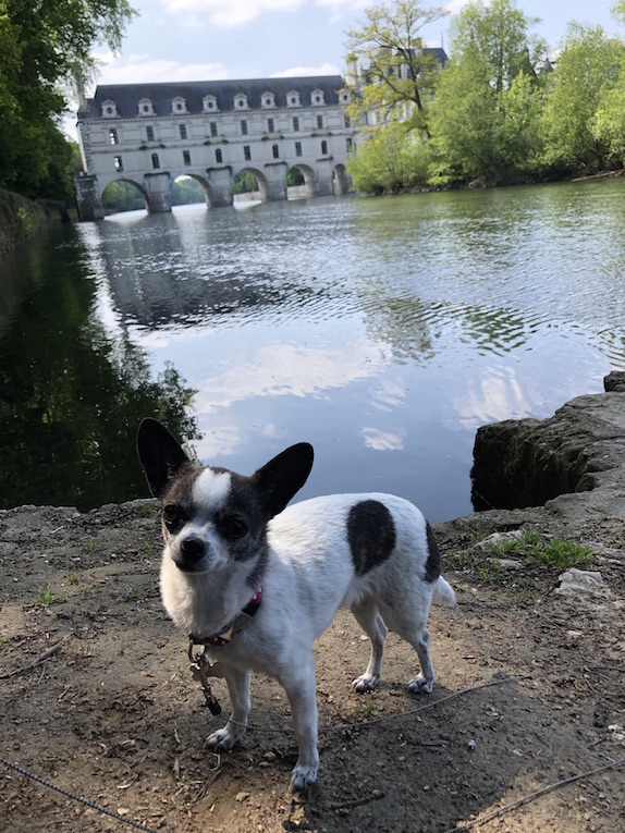 Chenonceau