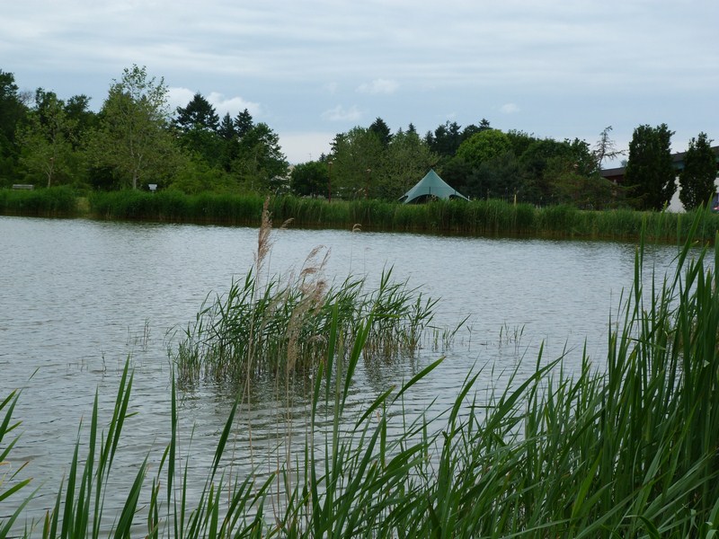 P1120922 (Copier).JPG