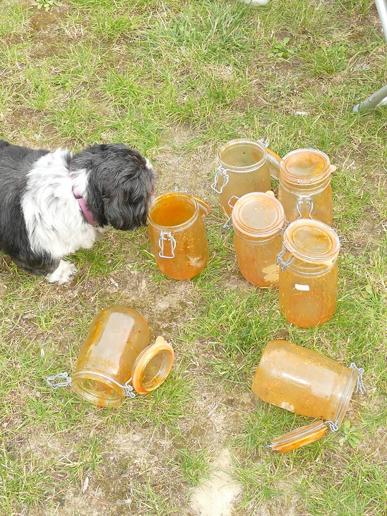Moi aussi j'aime bien!