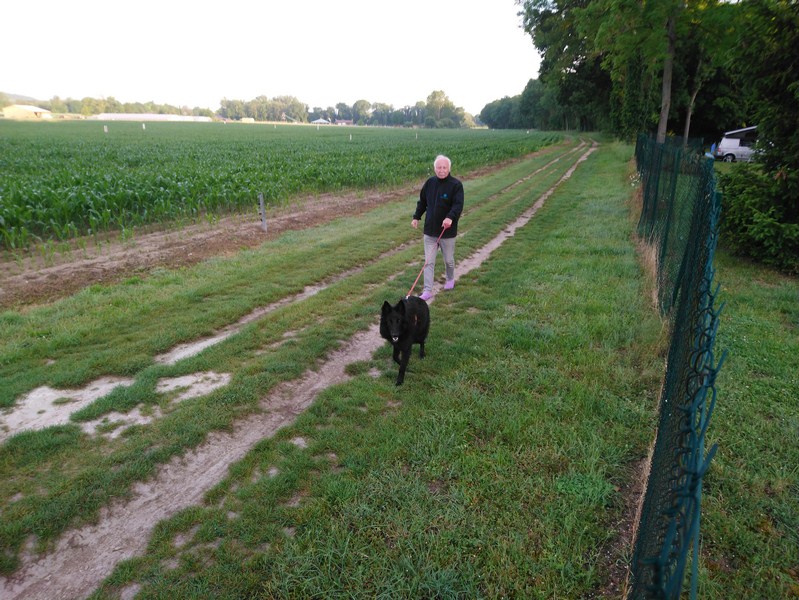 Contrairement à ce que vous pensez, Chambord ne promène pas Oolblac !<br />Non !  non ! !<br />Il évite la vaisselle