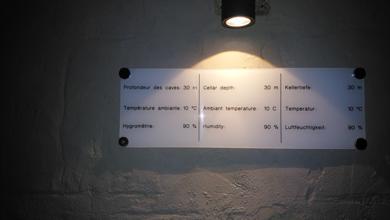 DSC_0611 (Copier).JPG