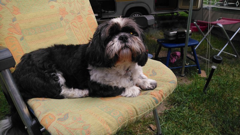 DSC_0646 (Copier).JPG