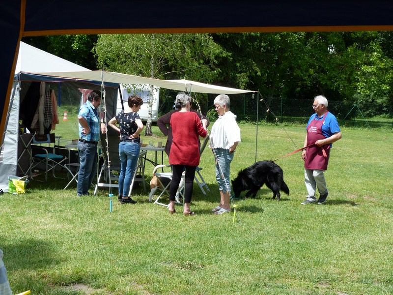 P1130008 (Copier).JPG