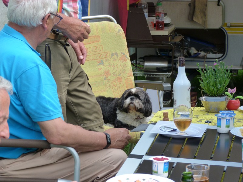 P1130104 (Copier).JPG