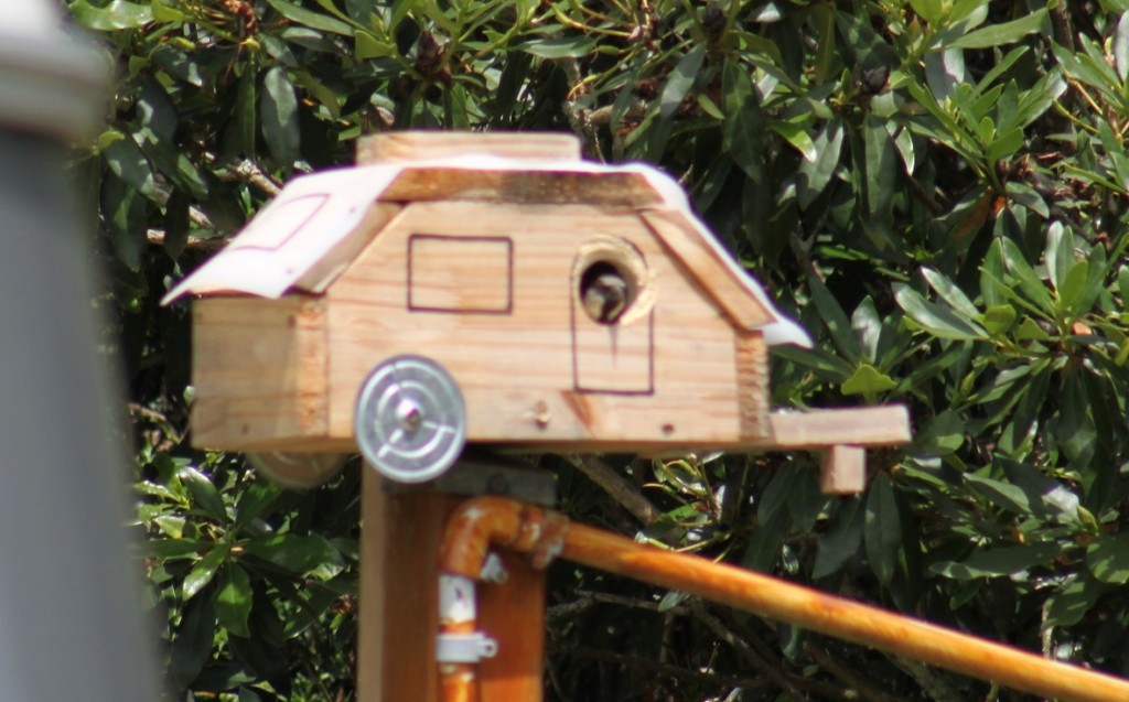 cabane oiseaux 2.jpg