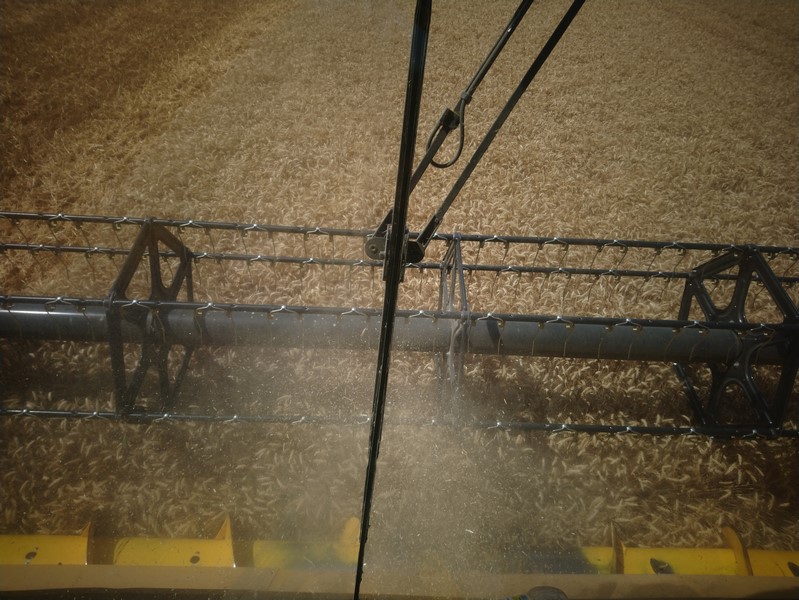 Pas toujours facile de voir avec la poussière