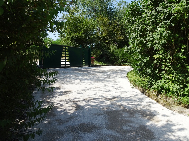 DSC01139.JPG