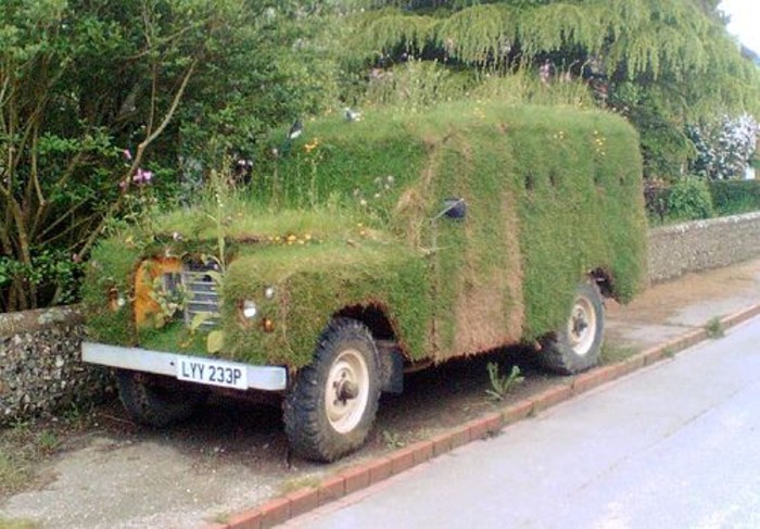 109 végétalisé.jpg