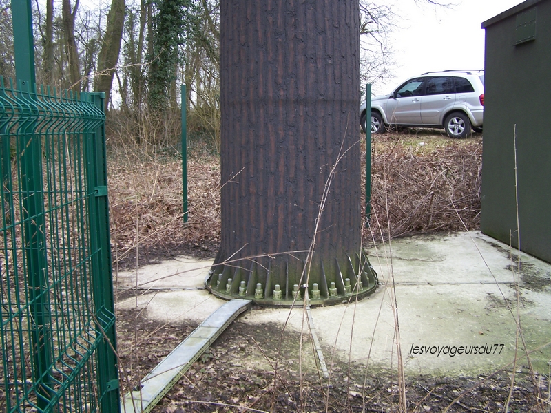 sympa l'arbre non??c"est + sympa pour nos beaux paysages