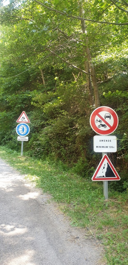 20190805_161751.jpg