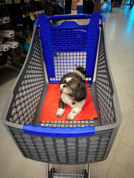 DSC_0754 (1) (Copier).JPG