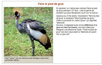 Faire, le pied de grue.JPG