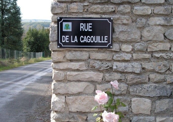cagouille det.jpg