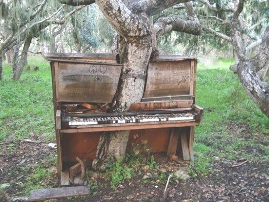 piano.jpg