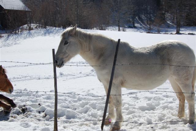 DSC_8989 (Small).JPG