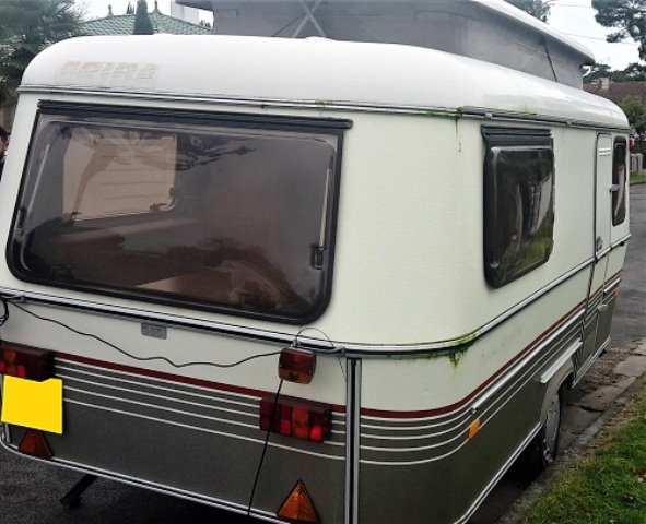 Jolies les moisissures!