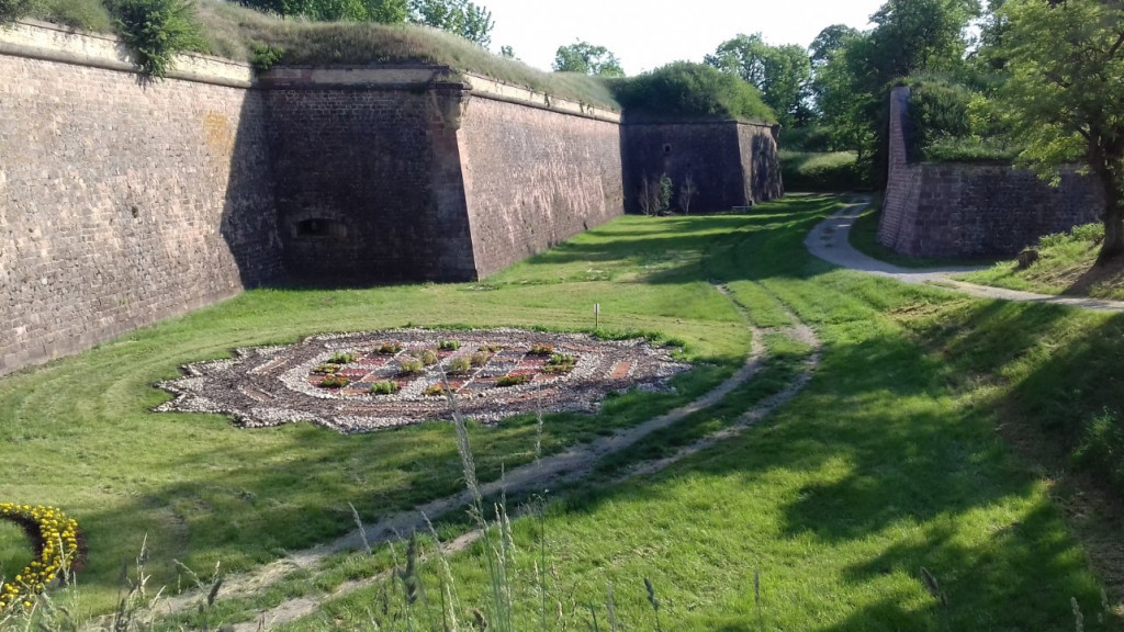 20190605_083604.jpg (280.38 Kio) Vu 10531 fois Camping "Le Vauban" Neuf-Brisach (68) Acsi