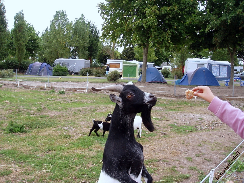 petit camping sympa(cela date de 2 ans )je recherche l'adresse