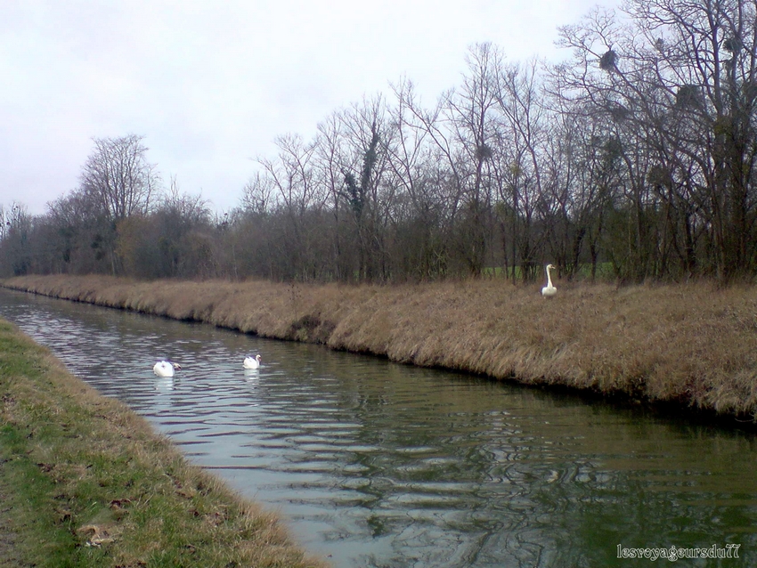 sur le canal ce matin