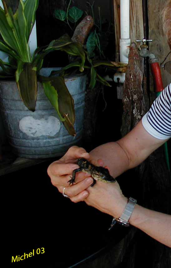 c'est un bébé de quelques jours, mignon...