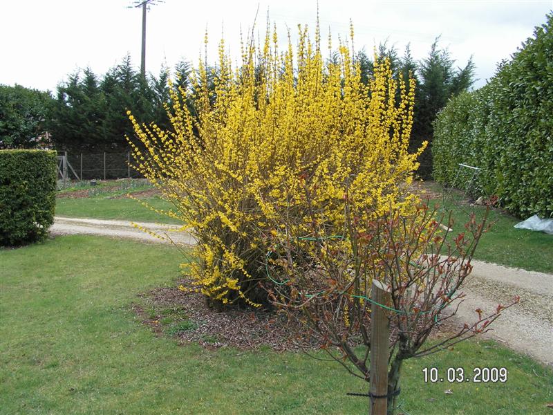 PICT0524 (Medium).JPG