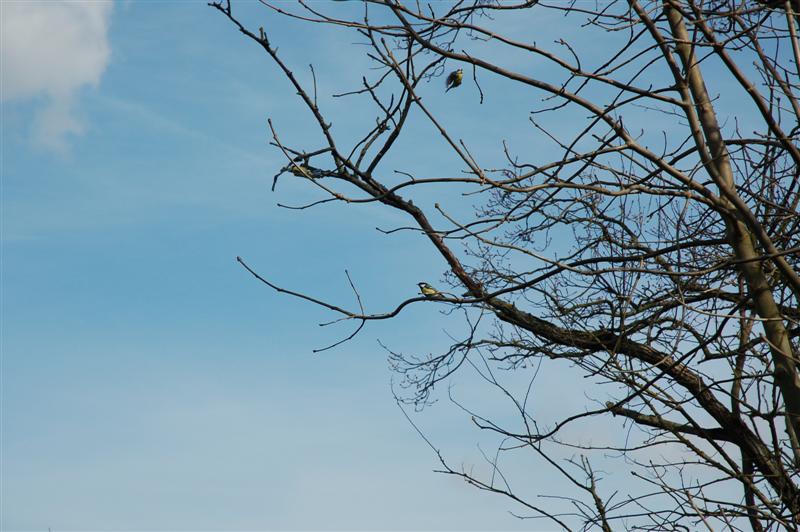 DSC_9174 (Medium).JPG