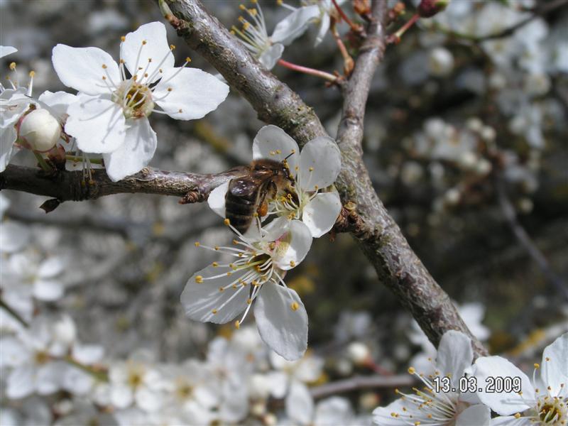 PICT0554 (Medium).JPG