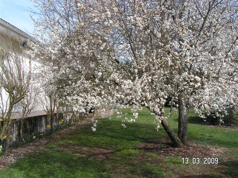 PICT0543 (Medium).JPG