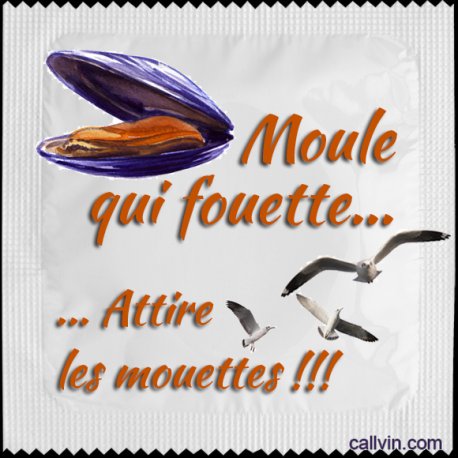 preservatif-moule-qui-fouettent.jpg
