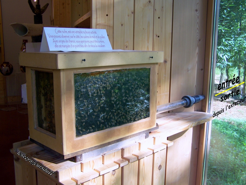 vu dans une boutique de produits régionaux dans le gard