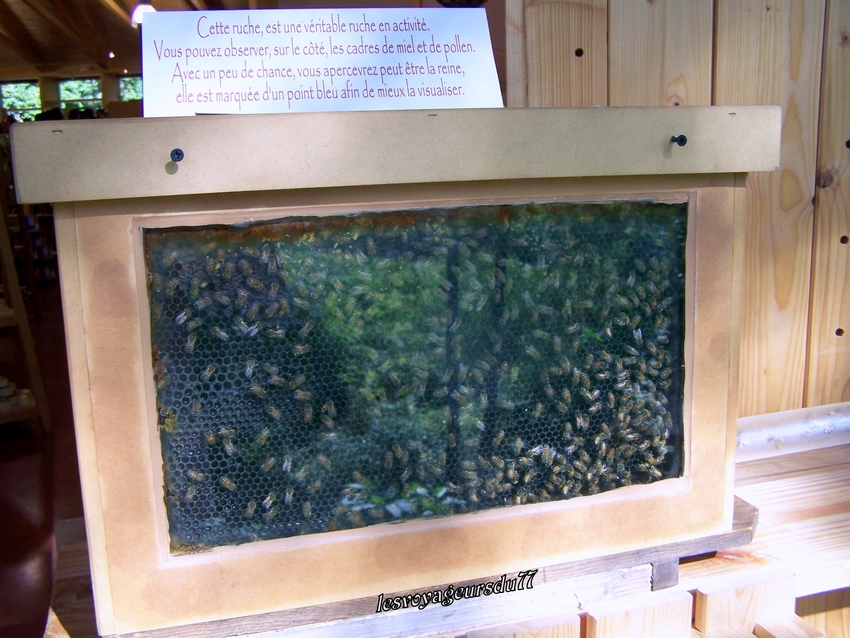 la ruche