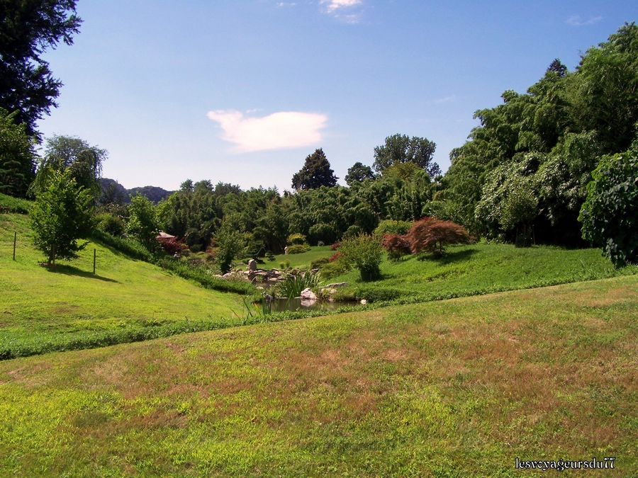 Les bambous prospèrent dans ce site qui bénéficie d'un climat très favorable à leur culture et forment une véritable jungle.