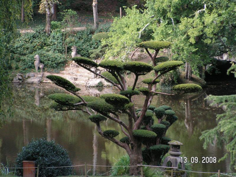 PICT0270 (Medium).JPG