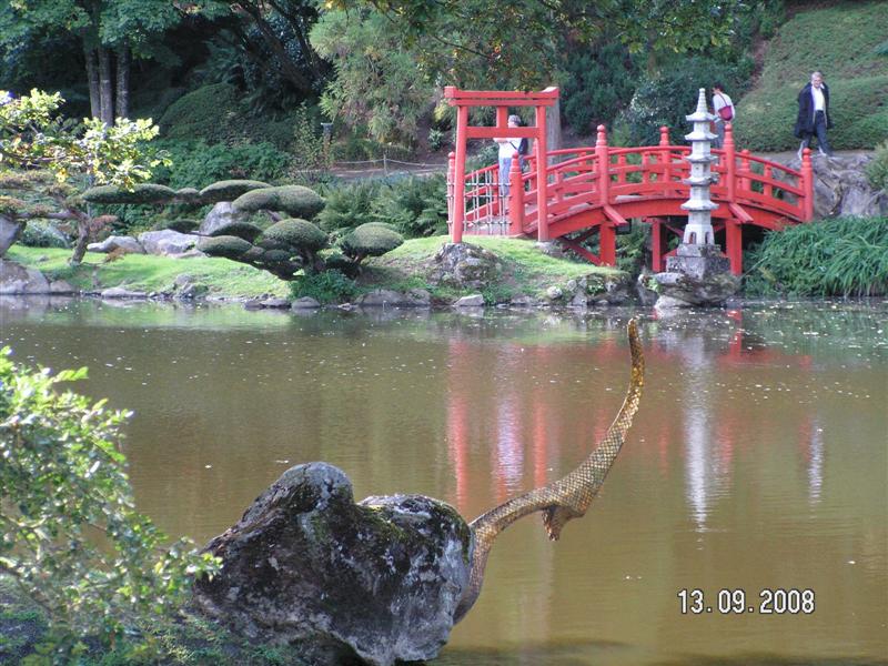 PICT0313 (Medium).JPG