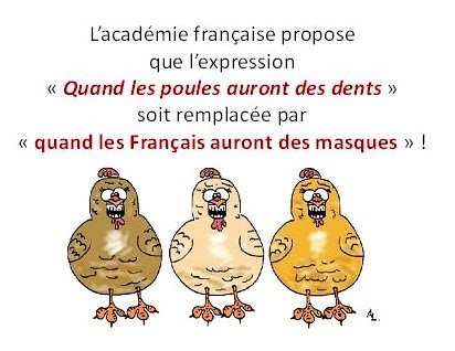 Quand les poules.JPG