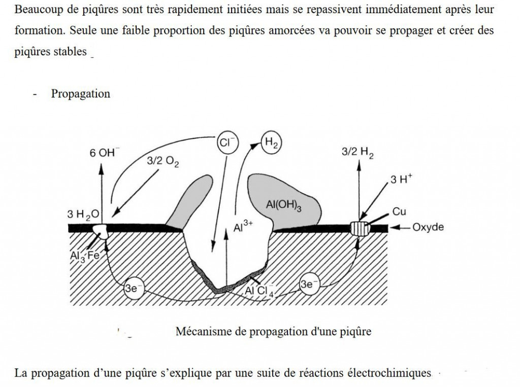 Piqures d'Alu.JPG