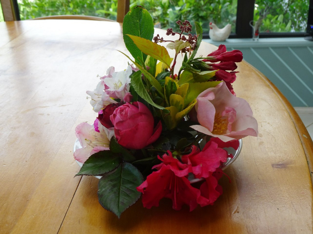 DSC01856.JPG