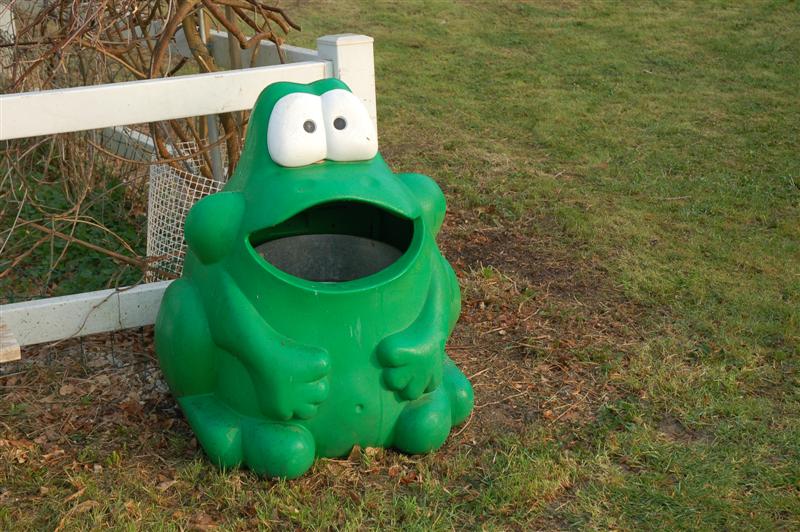 DSC_9398 (Medium).JPG