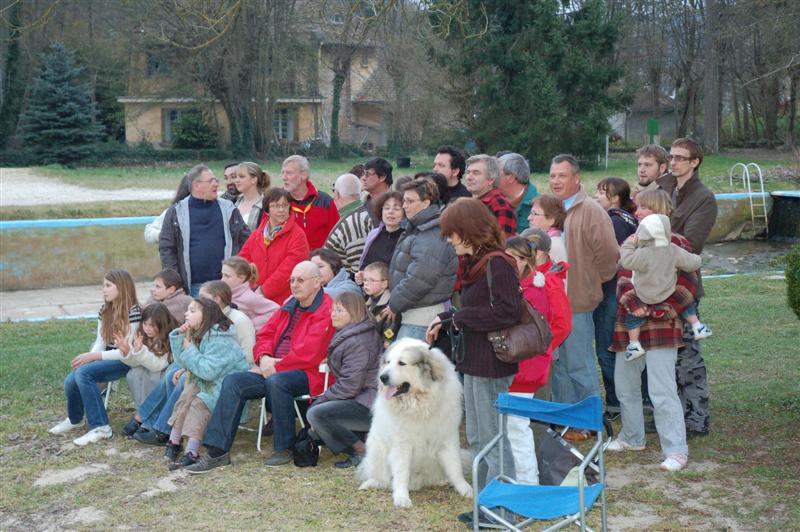 DSC_9412 (Medium).JPG