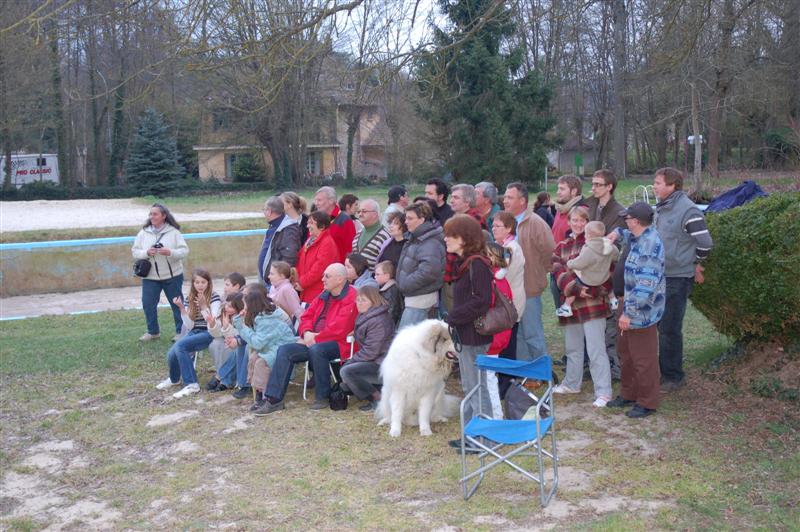 DSC_9413 (Medium).JPG