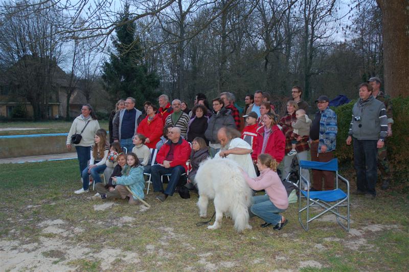 DSC_9417 (Medium).JPG