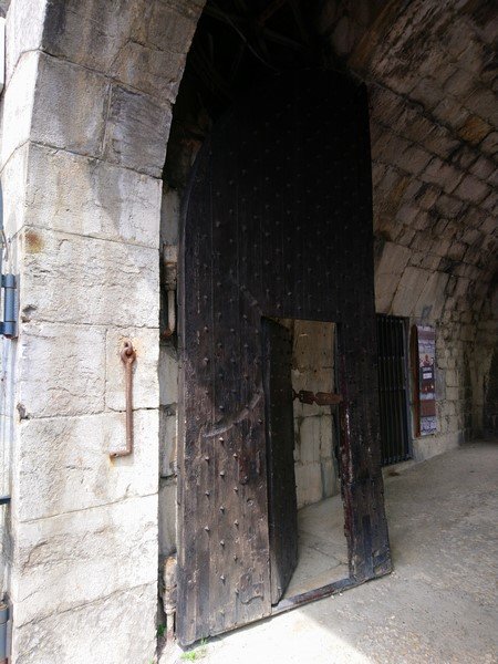 DSC_0080 (Copier).JPG