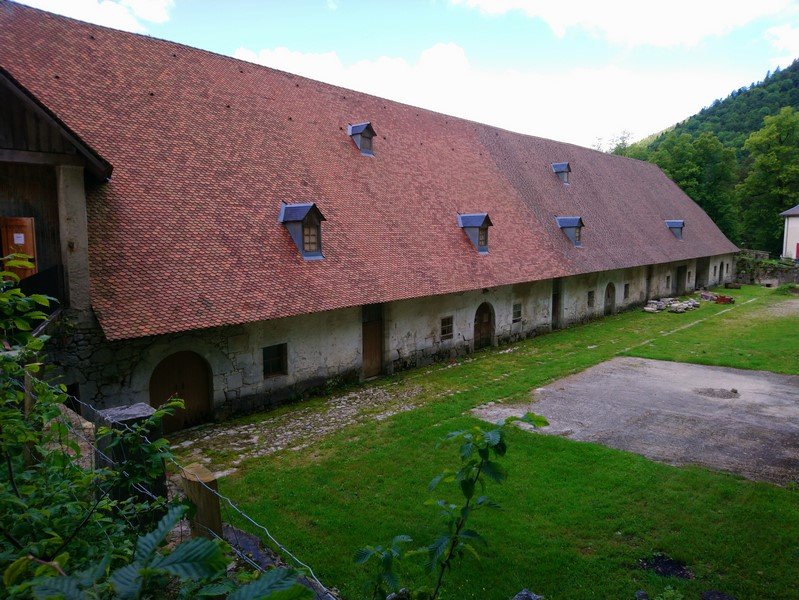 DSC_0126 (Copier).JPG