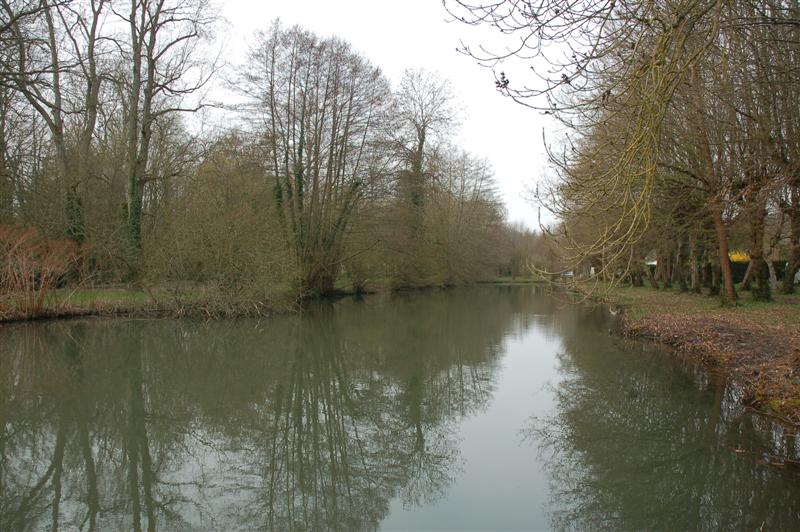 DSC_9434 (Medium).JPG