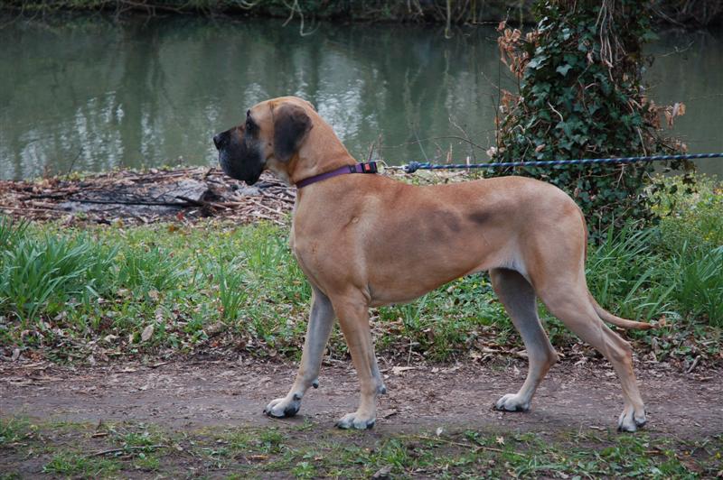 DSC_9450 (Medium).JPG