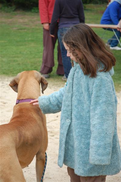 DSC_9464 (Medium).JPG