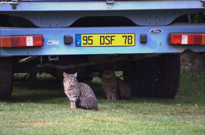 les gourmets de magret